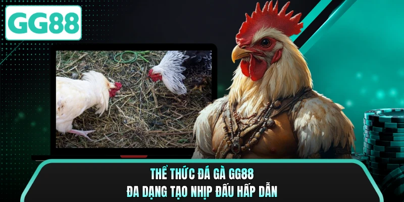 Thể thức đá gà GG88 đa dạng tạo nhịp đấu hấp dẫn